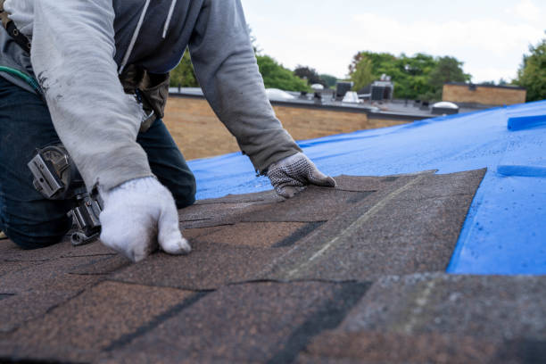 Quick and Trustworthy Emergency Roof Repair Services in Searcy, AR