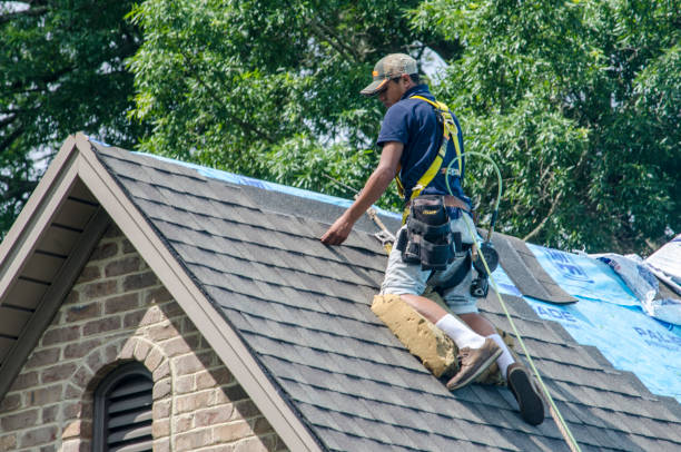 Best Roof Leak Repair  in Secy, AR